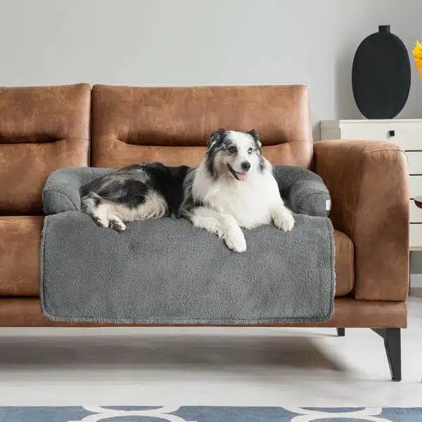 Dog Sofa Travel Protector with Removable Cover
