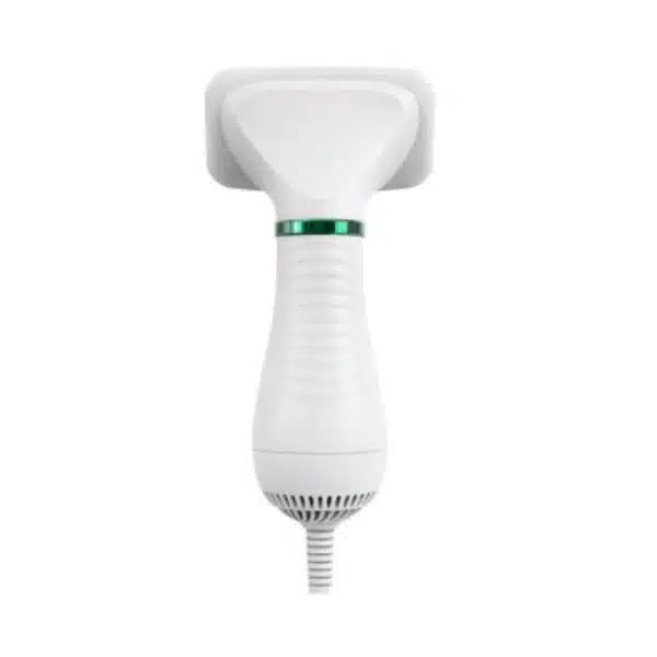 Electric 2 in 1 Pet Grooming Hair Dryer Blower Slicker Brush